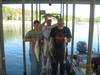 (05/03/2014) - Nice Striped Bass